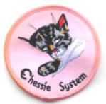 CHESSIE CAT (CHESSIE SYSTEM)